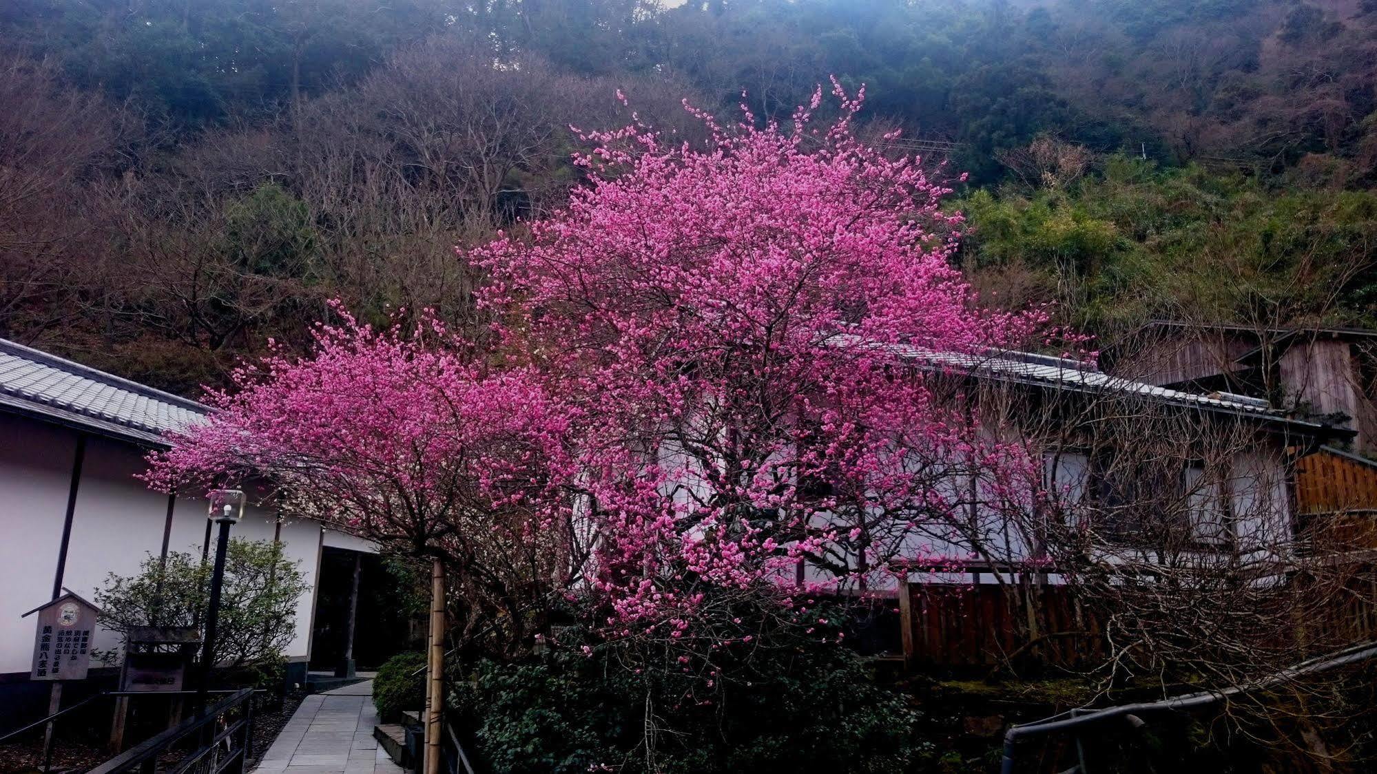 벳부 쇼와엔 호텔 벳푸 외부 사진